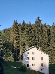 una casa bianca in mezzo a una foresta di Gîte la fourmilière a Morbier