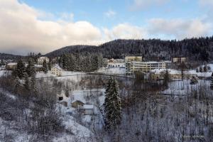 a city in the winter with snow and trees at Gîte la fourmilière in Morbier