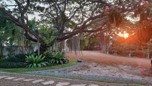 Zahrada ubytování Baan Thansiri 3, HIn Lek Fai, Hua Hin