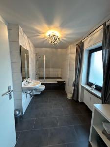 uma casa de banho com um lavatório, um WC e um chuveiro em Ferienwohnung Jodis em Bonerath