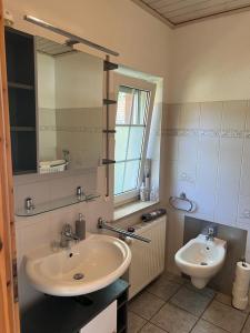 a bathroom with a sink and a mirror and a toilet at Schicke Ferienwohnung im Wendland in Simander