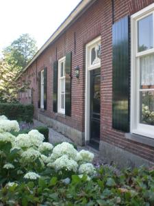 una casa de ladrillo con flores blancas delante de ella en Hoeve de Mertel en Biezenmortel