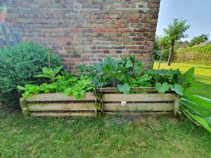 two wooden boxes filled with plants next to a brick wall at Pommernhaus Charmantes Colonistenhaus, Kamin, Ruderboot in Vorsee