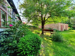 un banc de parc assis dans l'herbe près d'un arbre dans l'établissement Pommernhaus Charmantes Colonistenhaus, Kamin, Ruderboot, 