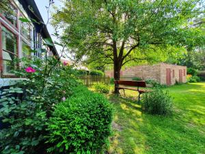 a park bench sitting in the grass near a tree at Pommernhaus Charmantes Colonistenhaus, Kamin, Ruderboot in Vorsee