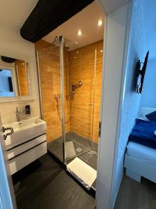 a bathroom with a shower and a sink at Hotel Zum Goldenen Anker in Bamberg +50 photos