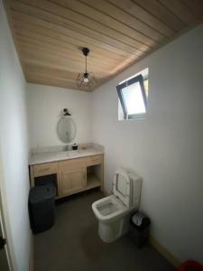 a bathroom with a toilet and a sink and a mirror at Hisarönü dubleks müstakil ev in Marmaris