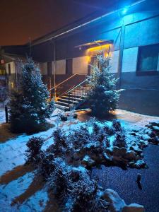 two christmas trees in front of a building at night at Fantastico Exlcusive Hotel in Senta