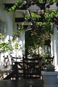 Giardino di Lemon & Lime Guesthouse