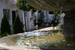 Giardino di Lemon & Lime Guesthouse