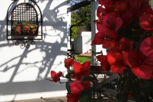 Giardino di Lemon & Lime Guesthouse