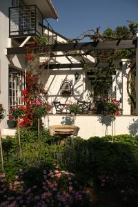 Giardino di Lemon & Lime Guesthouse