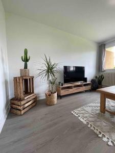 歐里亞克的住宿－Le Charmeur * * *，客厅配有平面电视和盆栽植物
