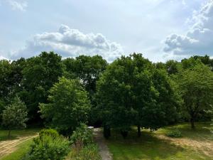 un grupo de árboles en un campo con cielo en Kloster-Quartier en Münster