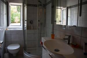 uma casa de banho com um lavatório, um WC e um chuveiro em Kernberg Apartment Jena em Jena