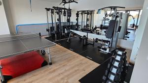 Posilňovňa alebo fitness centrum v ubytovaní Vila FERIE