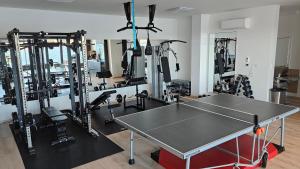 Posilňovňa alebo fitness centrum v ubytovaní Vila FERIE
