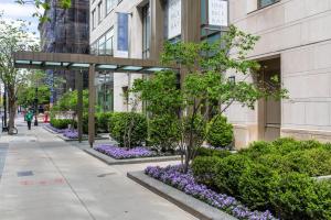 a sidewalk in front of a building with purple flowers at Back Bay Studio w Gym nr Newbury St BOS-459 in Boston