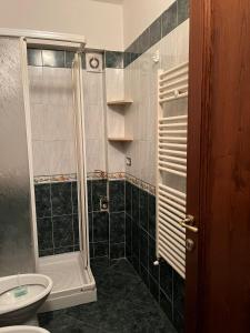 a bathroom with a shower and a toilet and a sink at Casa Regina in Val di Pugna +16 photos