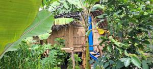 uma pequena casa de pássaros numa floresta de árvores em Tanna Chez Nous Bungalow and Tours em Loméméti