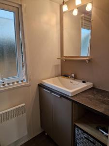 uma casa de banho com um lavatório e um espelho em Mobile Home For You les Pierres Couchées em Saint-Brevin-les-Pins
