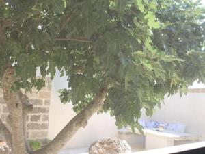 Fotografie z fotogalerie ubytování Dimora Cavalieri charming house salento puglia v destinaci Andrano