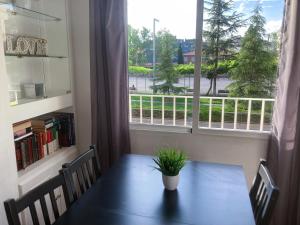 einem Tisch mit einer Pflanze vor einem Fenster in der Unterkunft Luninoso y práctico apartamento en el centro con amplio parking incluido in Granada + 5 Fotos