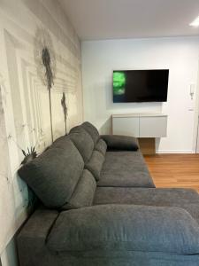 Una sala de estar con un sofá y un televisor de pantalla plana. en Condominio Sole, en Lignano Sabbiadoro