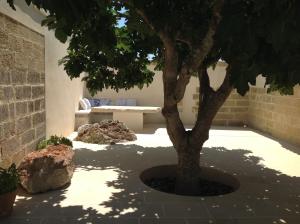 Fotografie z fotogalerie ubytování Dimora Cavalieri charming house salento puglia v destinaci Andrano