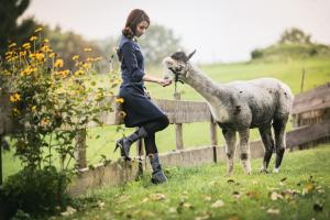 a woman is petting a donkey next to a fence at Lana Salta Alpakas - Gemütliche Gästezimmer auf dem Bauernhof in Murrhardt