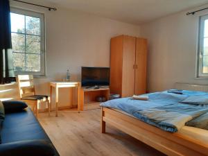 TV a/nebo společenská místnost v ubytování Pension am Bach