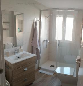 ein Bad mit einem Waschbecken, einer Dusche und einem WC in der Unterkunft Bautiful and centrally located, Cuzco-Bernabeu in Madrid