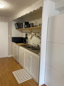 a small kitchen with a sink and a refrigerator at Résidence l'olympia in Montgenèvre