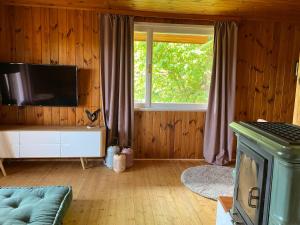 a living room with a television on a wooden wall at Refugium Augustin in Vienna