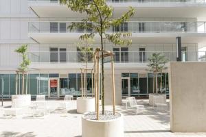 un gruppo di alberi e sedie di fronte a un edificio di Studio Apartment - Odra View&Witolda a Breslavia