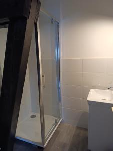 a shower with a glass door in a bathroom at L'orée des 3 Rivières in Is-sur-Tille