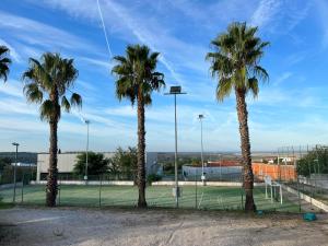 three palm trees on a tennis court with a net at CASA ROSA COSY PINK GUEST HOUSE in Torrão