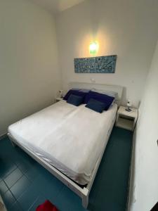 カンニジョネにあるBilocali Residenza Mediterranea Cannigioneのベッドルーム(青い枕の大型ベッド1台付)