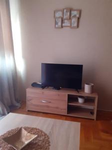 TV i/ili multimedijalni sistem u objektu Apartman MS +4 fotografije
