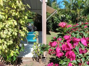 a porch with pink flowers and a blue barrel at Residence Corail in Sainte-Rose