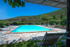 Hồ bơi trong/gần Colle Degli Ulivi - Cortona, Pool, Nature, Privacy