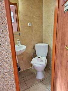 a bathroom with a toilet and a sink at "Hel" Wieniec Zdrój in Włocławek