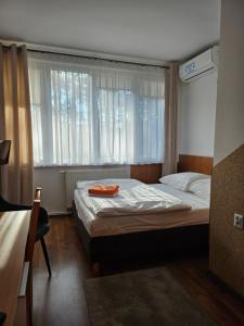 a bedroom with a bed with a large window at "Hel" Wieniec Zdrój in Włocławek