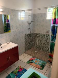 a bathroom with a shower and a sink at Residence Corail in Sainte-Rose