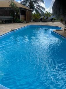 a swimming pool with blue water in a yard at Habitation Bonneville Chalet et Loft d'exceptions in La Trinité