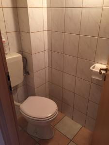 a bathroom with a toilet and a tiled wall at Balaton lake view 30 m from Beach in Fonyód