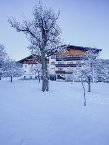 un campo cubierto de nieve con árboles frente a un edificio en B&B at Kreativhaus Tirol, en Weerberg