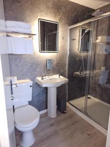 a bathroom with a toilet and a sink and a shower at The Chesterhouse in Douglas