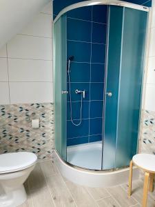 uma casa de banho com um chuveiro e um WC. em Apartament W Dolinie Modrzewi em Kamienna Góra
