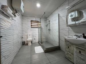 a bathroom with a shower and a sink and a toilet at UrbaN RootZ in Abuja